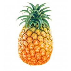 10ml - Pineapple (Hangsen)