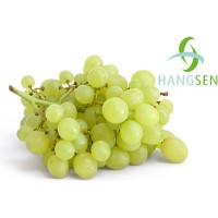 10ml - Grape (Hangsen)